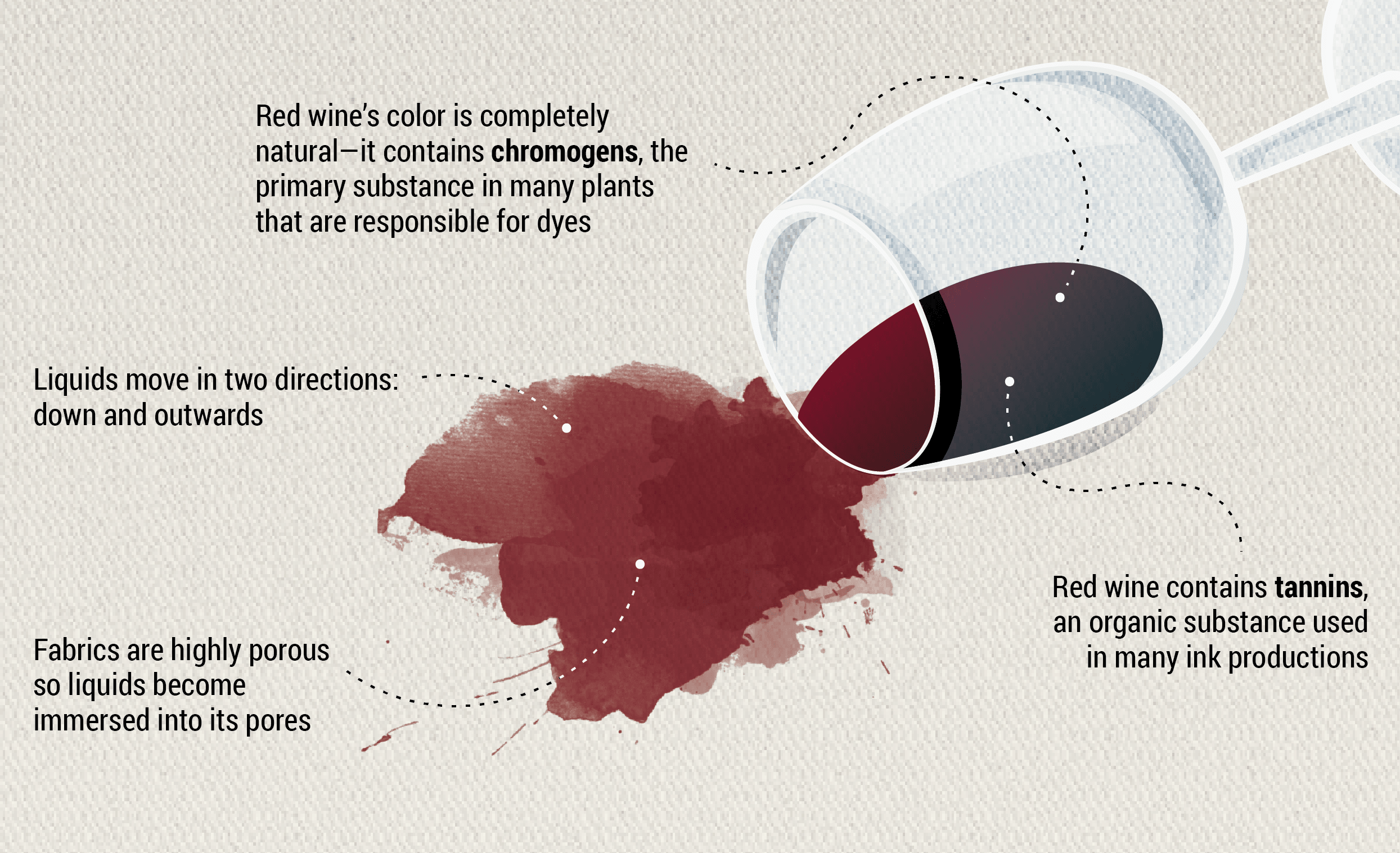 Anatomy of Red Wine
