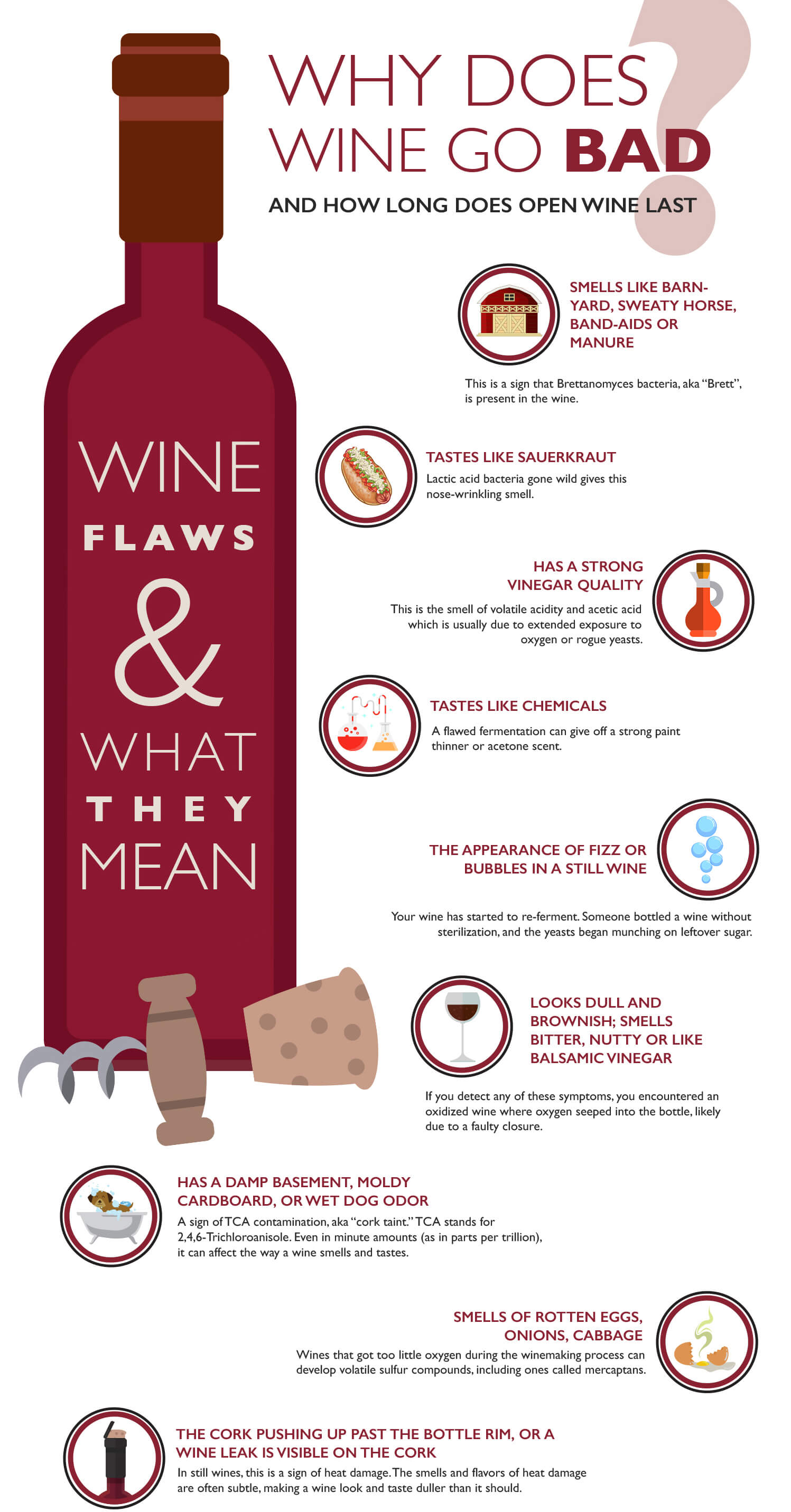 How to Put a Cork Back in a Wine Bottle — KnowWines